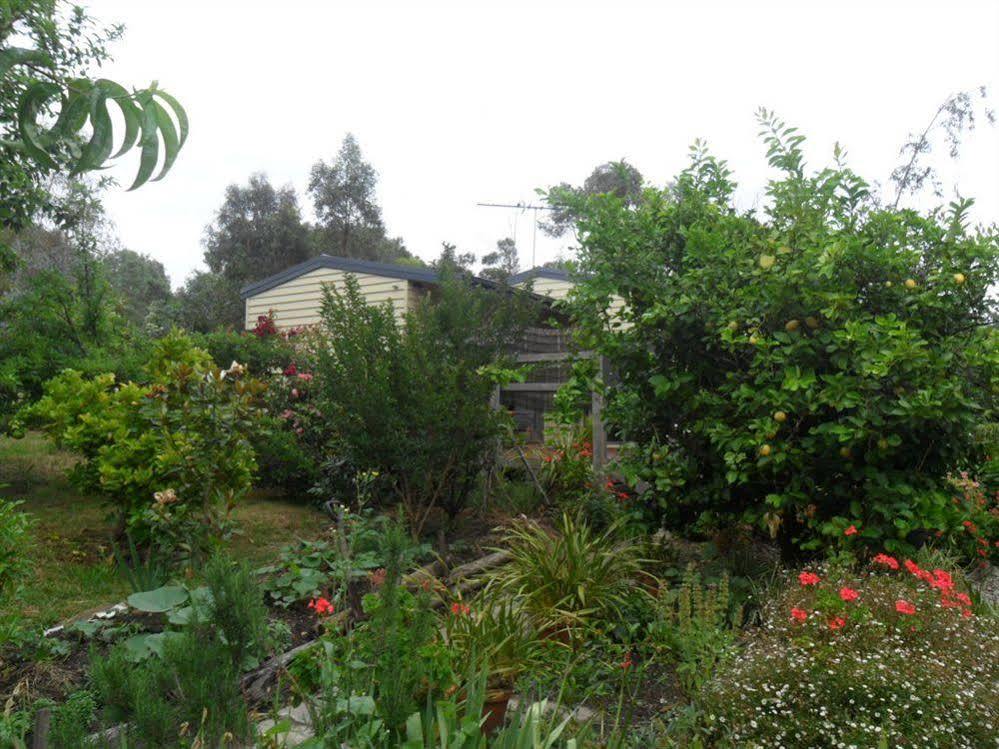 Australian Home Away @ Wonga Park Brushy Creek Eksteriør bilde